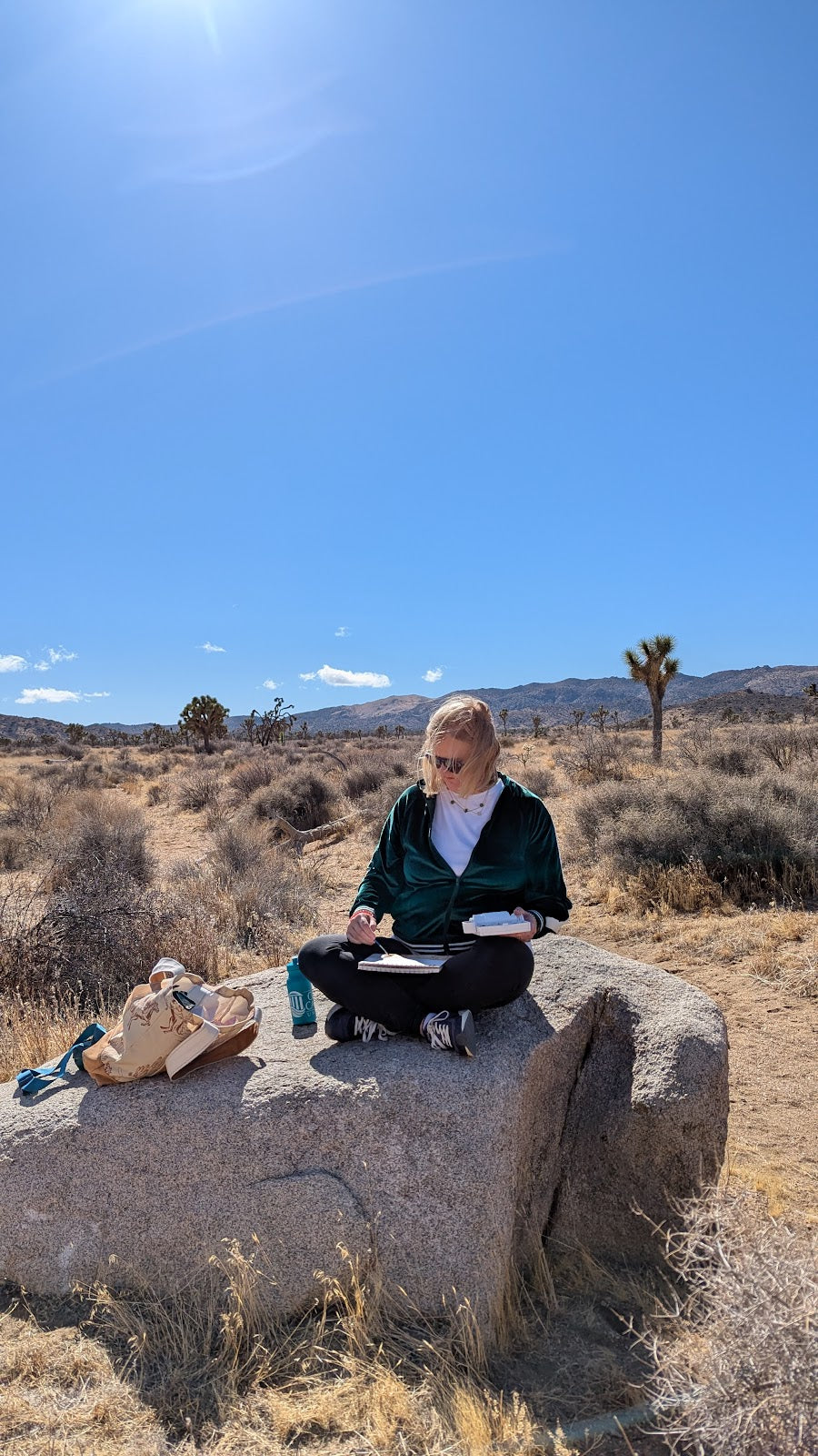 Person journaling on a boulder in the desert near Palm Springs with Joshua trees and mountains