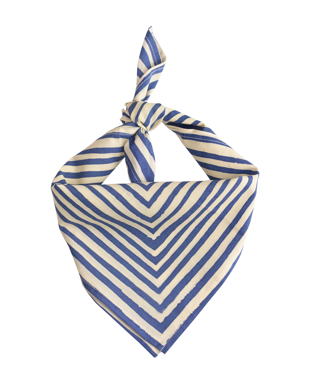 Blue and white striped handkerchief with a knot at the top