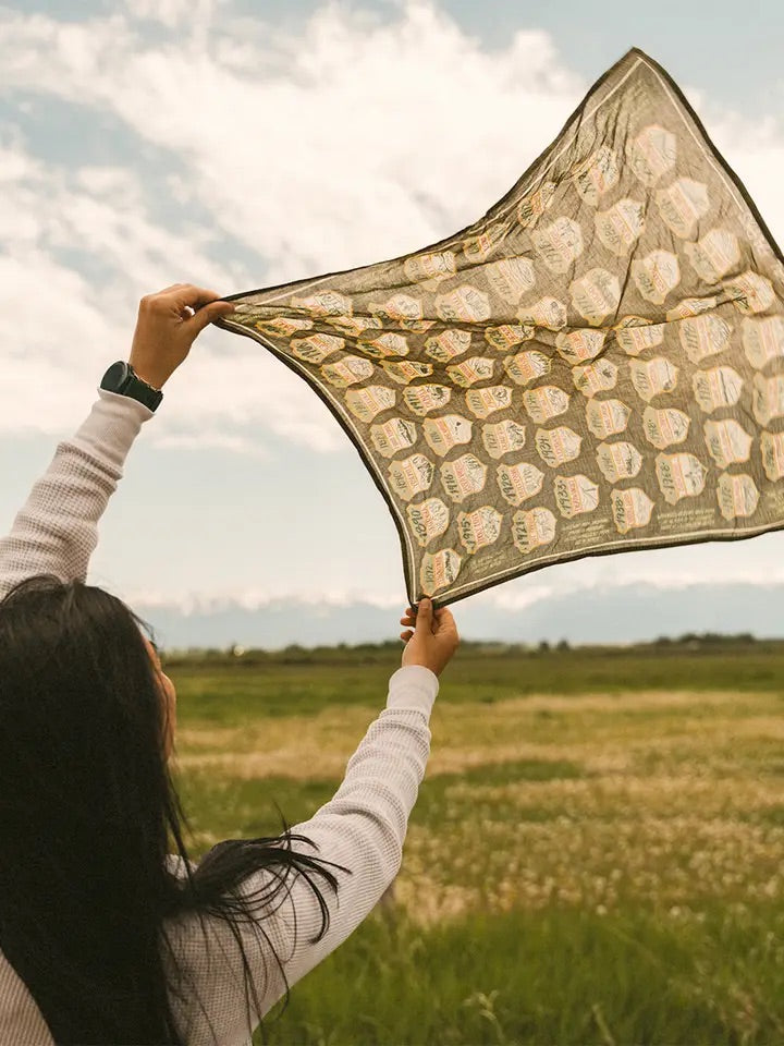 Person holding a green and beige National Parks bandana aloft in a grassy field under a cloudy sky