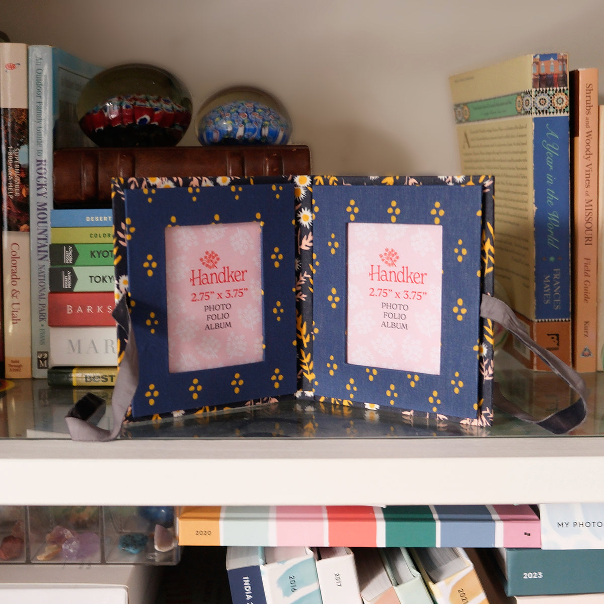 Two framed pink prints in blue floral mats sitting on a bookshelf among books and small decor.