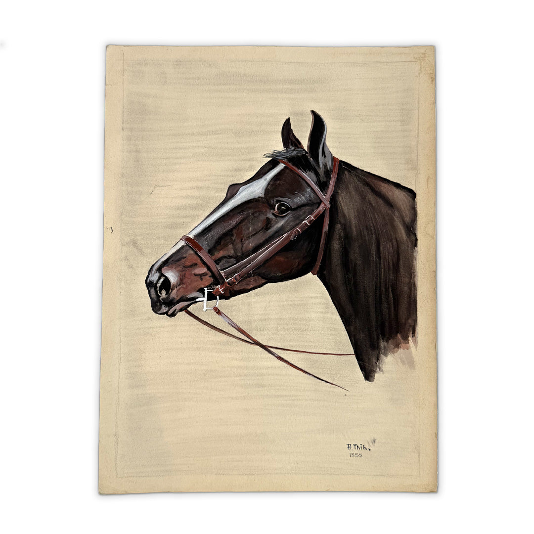 Horse Head Gouache on Paper