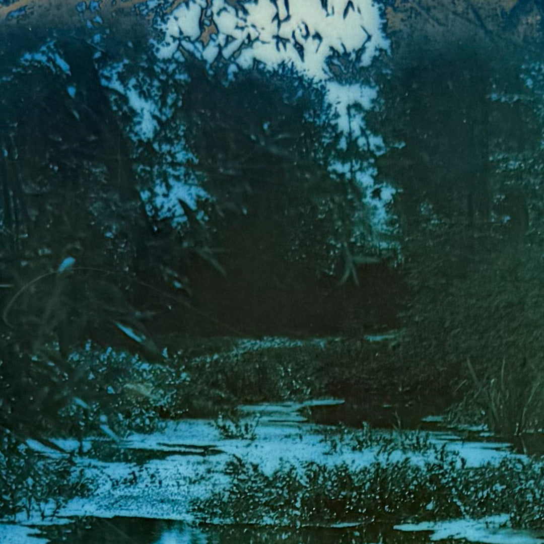 Creekside Cyanotype