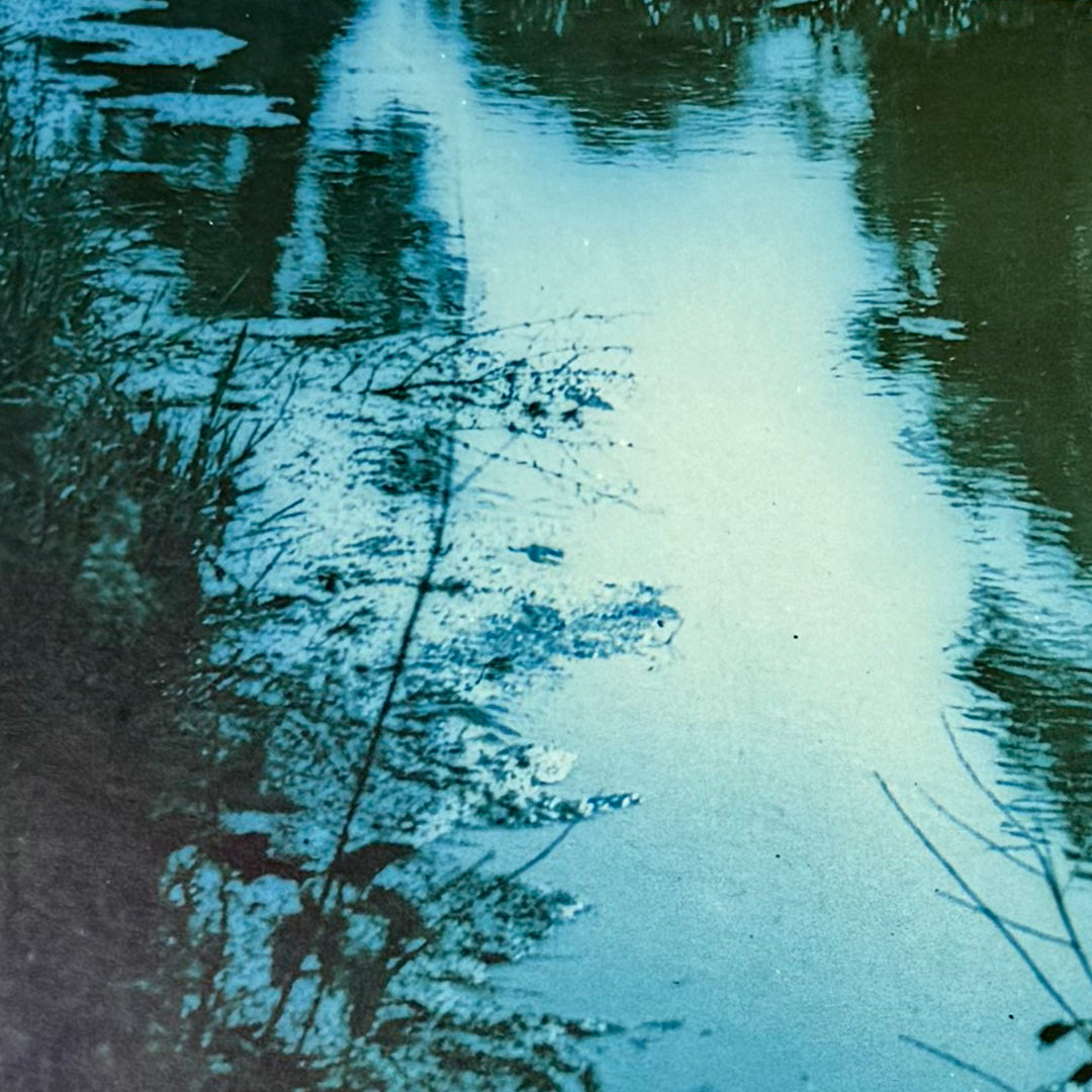 Creekside Cyanotype