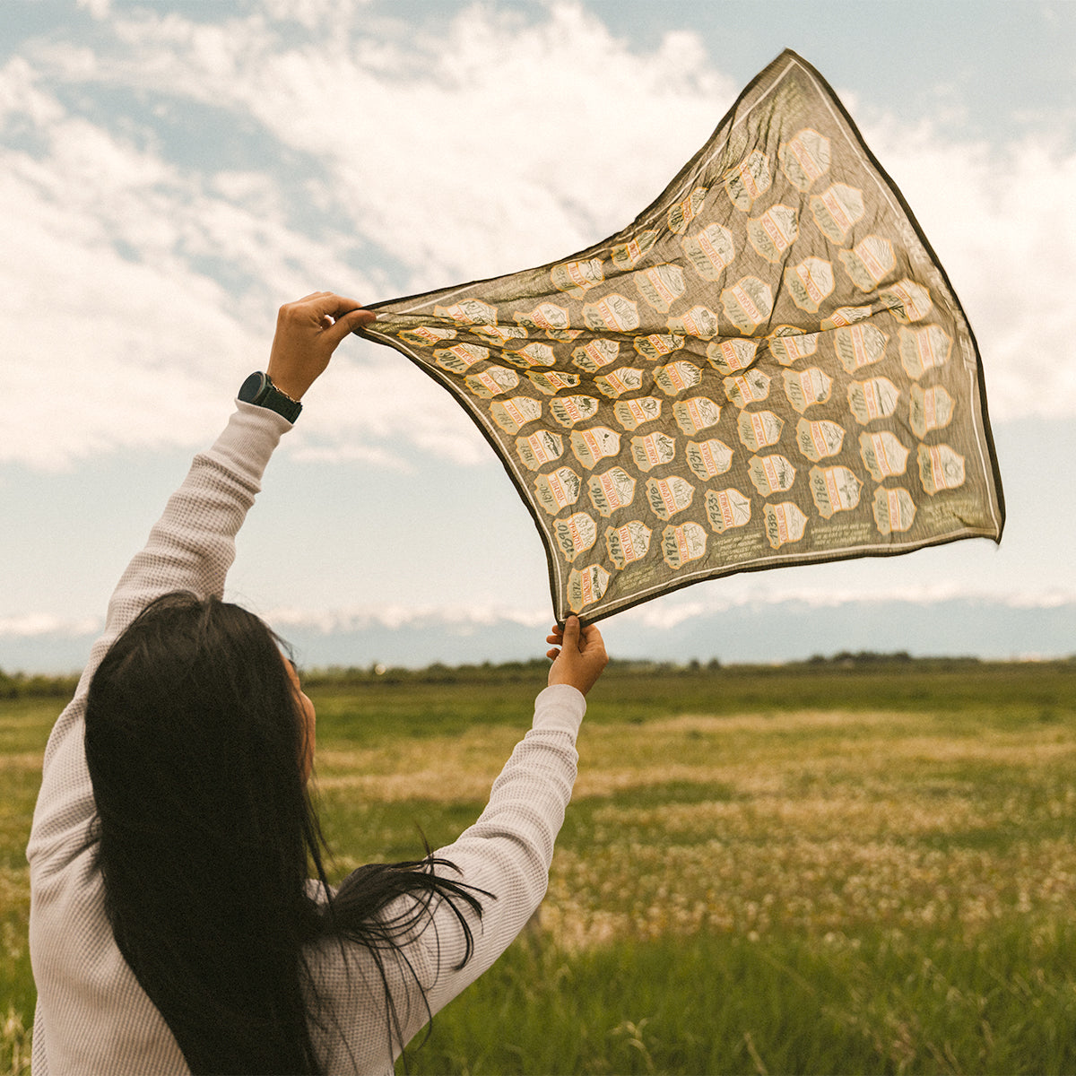Person holding a patterned fabric national parks scarf  in an open field with a cloudy sky.